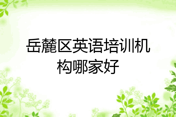 岳麓区英语培训机构哪家好