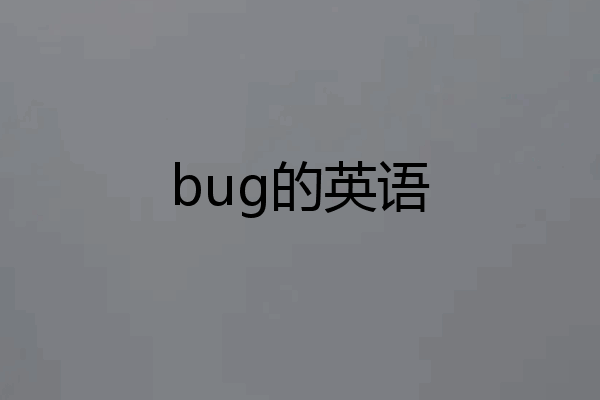 bug的英语