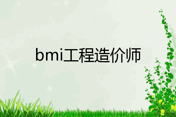 bmi工程造价师