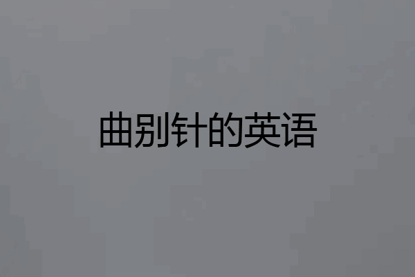 曲别针的英语