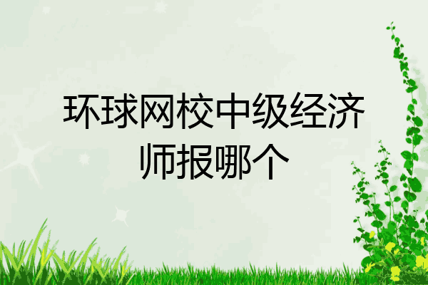 环球网校中级经济师报哪个