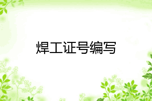 焊工证号编写