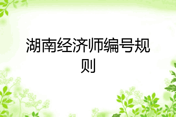 湖南经济师编号规则
