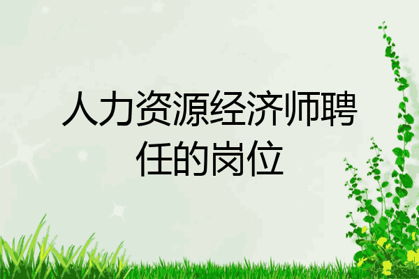 人力资源经济师聘任的岗位