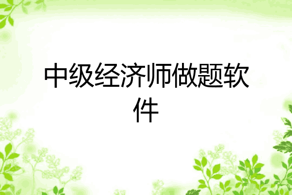中级经济师做题软件