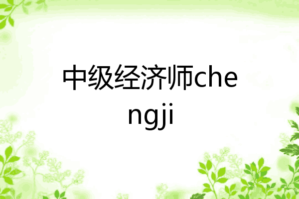 中级经济师chengji