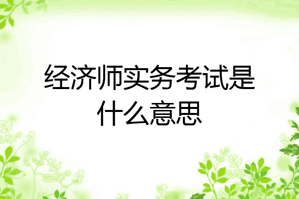经济师实务考试是什么意思