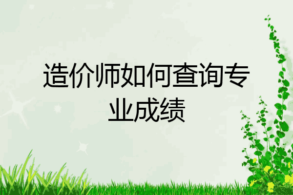 造价师如何查询专业成绩