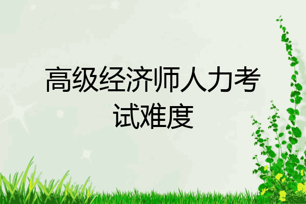 高级经济师人力考试难度
