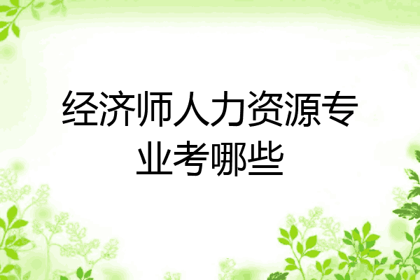 经济师人力资源专业考哪些