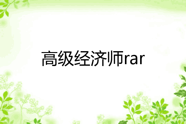 高级经济师rar