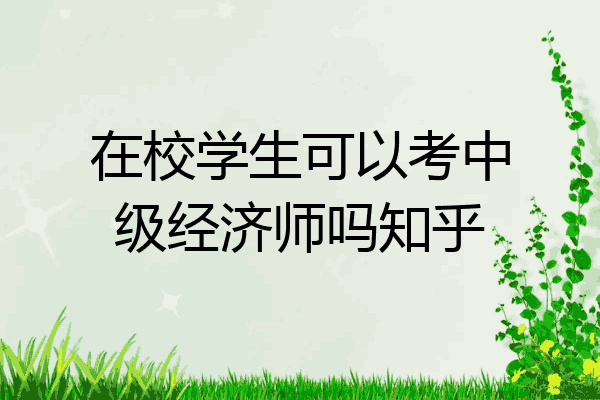 在校学生可以考中级经济师吗知乎