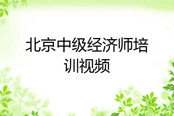 北京中级经济师培训视频