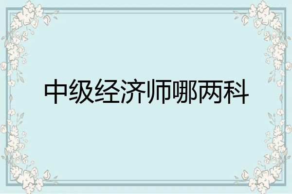 中级经济师哪两科