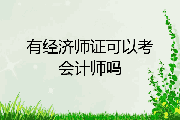 有经济师证可以考会计师吗