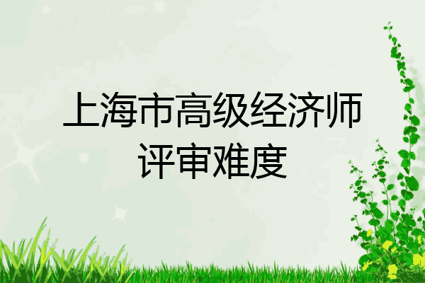 上海市高级经济师评审难度