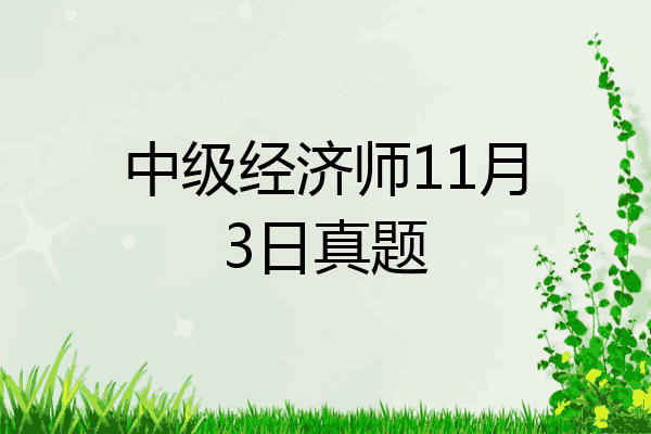 中级经济师11月3日真题