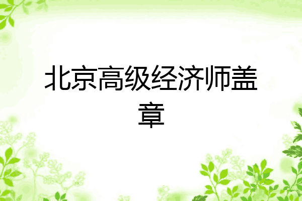 北京高级经济师盖章