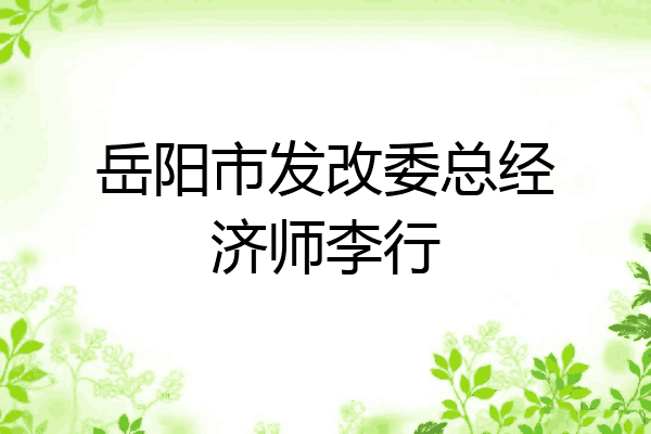 岳阳市发改委总经济师李行