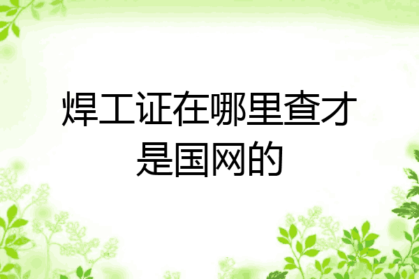 焊工证在哪里查才是国网的
