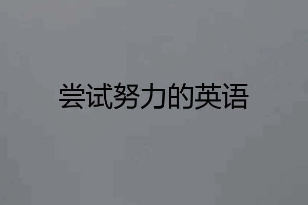尝试努力的英语