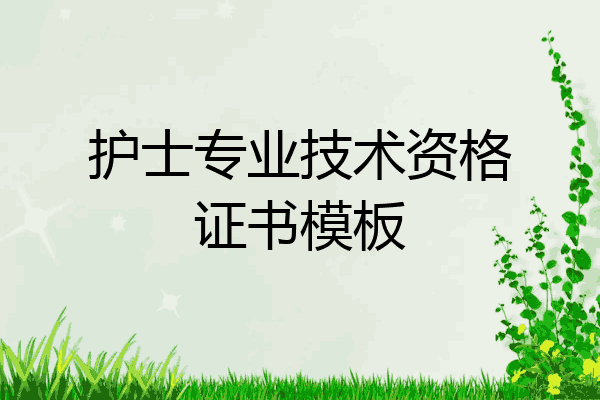 护士专业技术资格证书模板