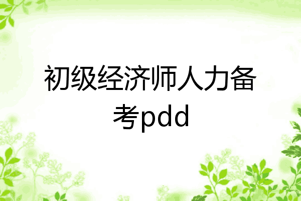 初级经济师人力备考pdd