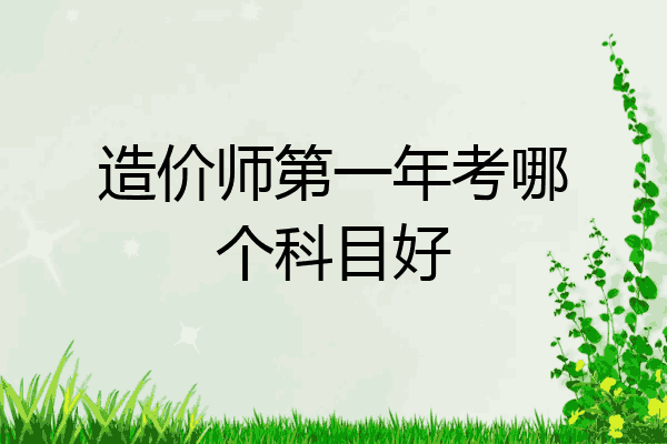 造价师第一年考哪个科目好
