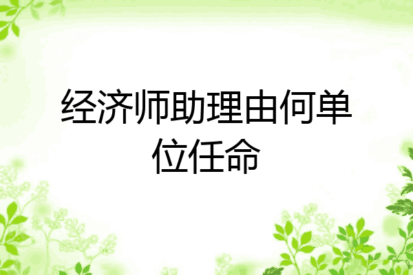 经济师助理由何单位任命