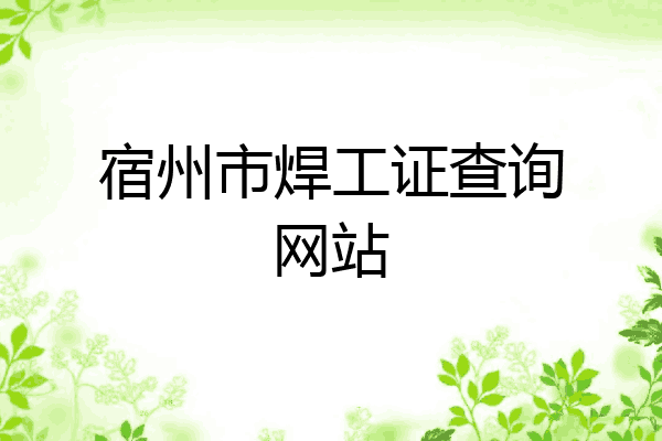 宿州市焊工证查询网站