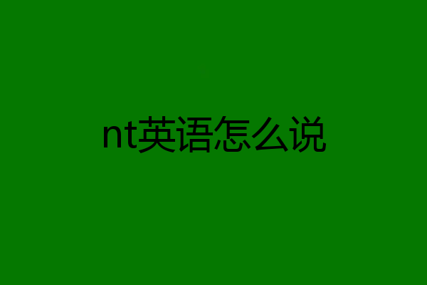 nt英语怎么说