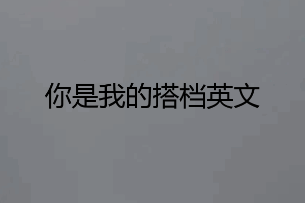 你是我的搭档英文