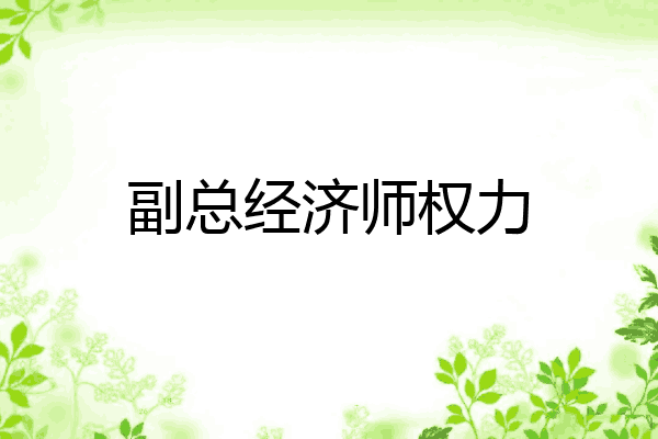 副总经济师权力