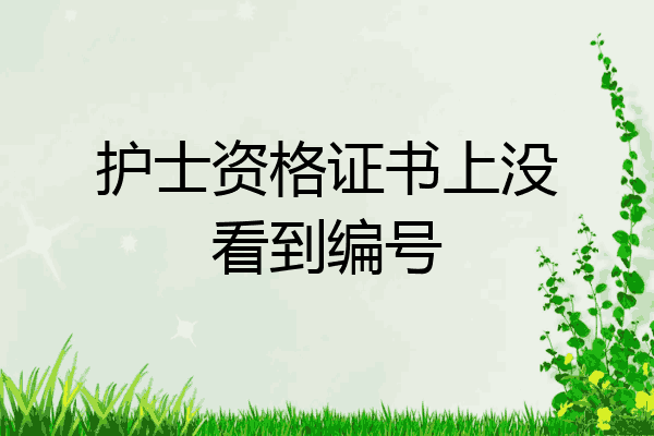 护士资格证书上没看到编号