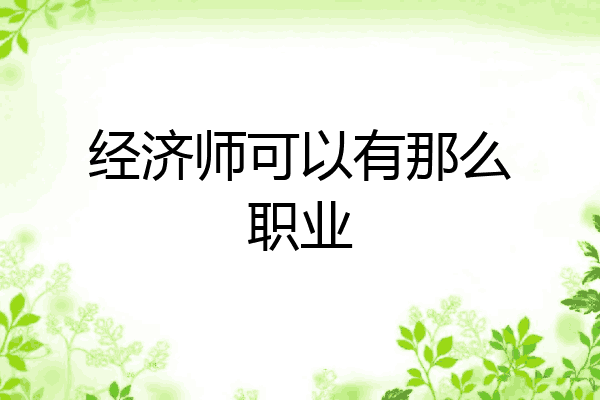 经济师可以有那么职业