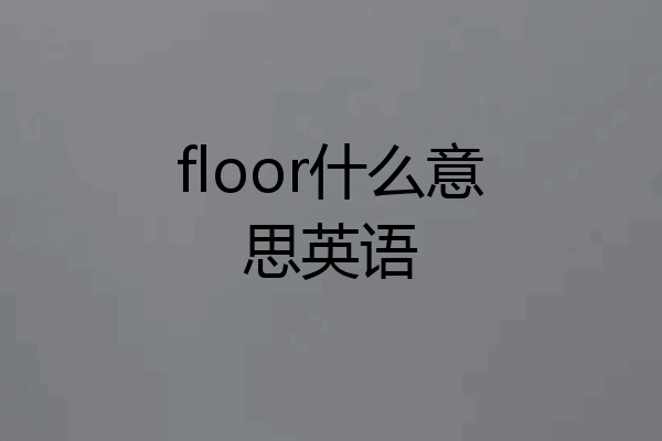 floor什么意思英语