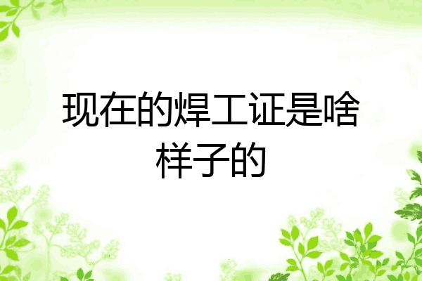 现在的焊工证是啥样子的