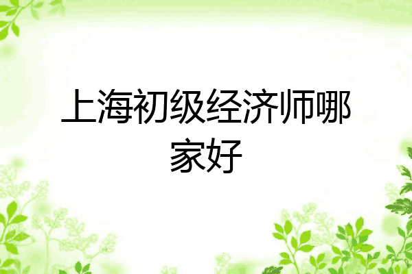 上海初级经济师哪家好