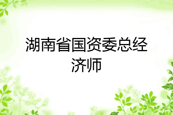 湖南省国资委总经济师