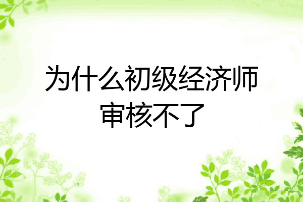 为什么初级经济师审核不了