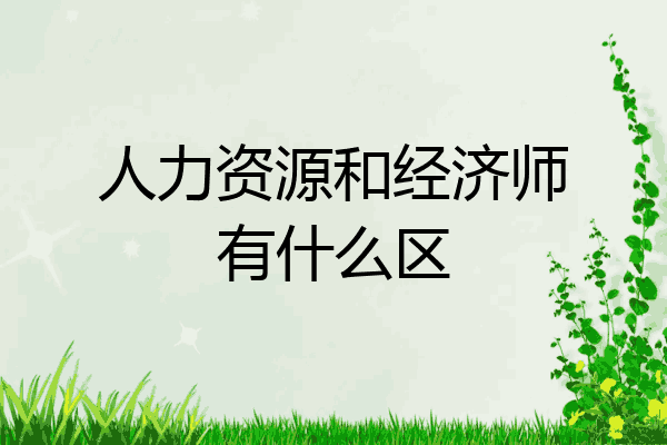 人力资源和经济师有什么区