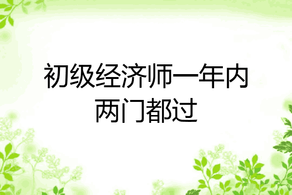 初级经济师一年内两门都过