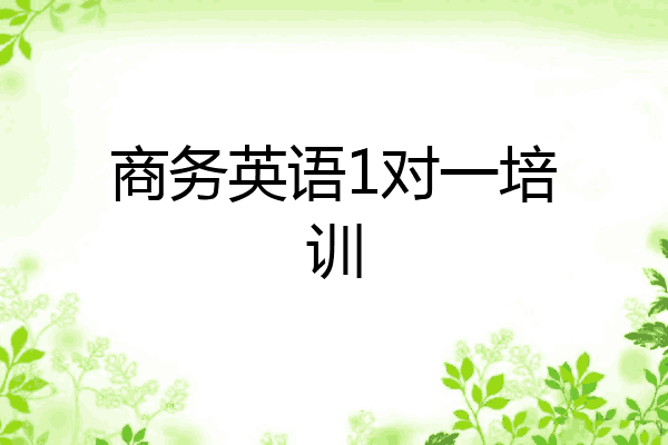 商务英语1对一培训