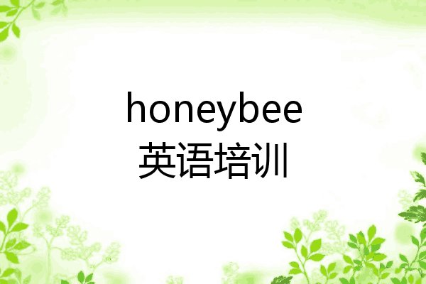 honeybee英语培训