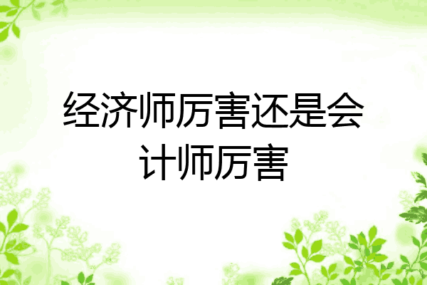 经济师厉害还是会计师厉害