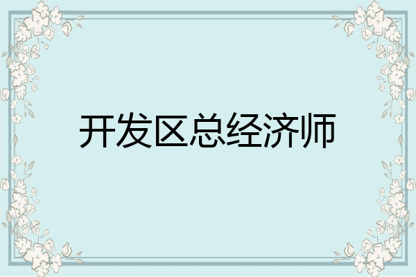 开发区总经济师