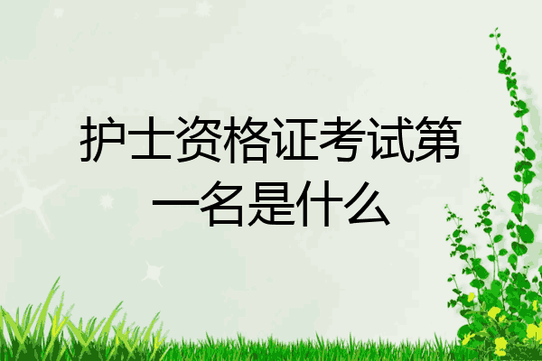 护士资格证考试第一名是什么