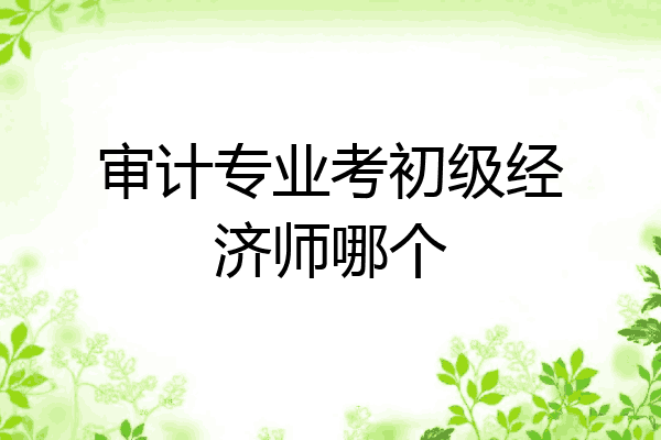 审计专业考初级经济师哪个