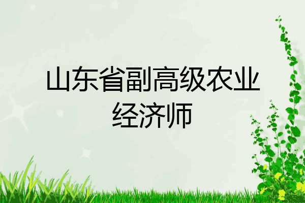 山东省副高级农业经济师
