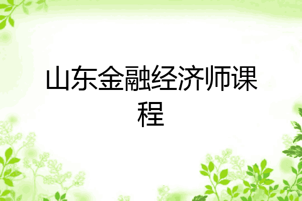 山东金融经济师课程